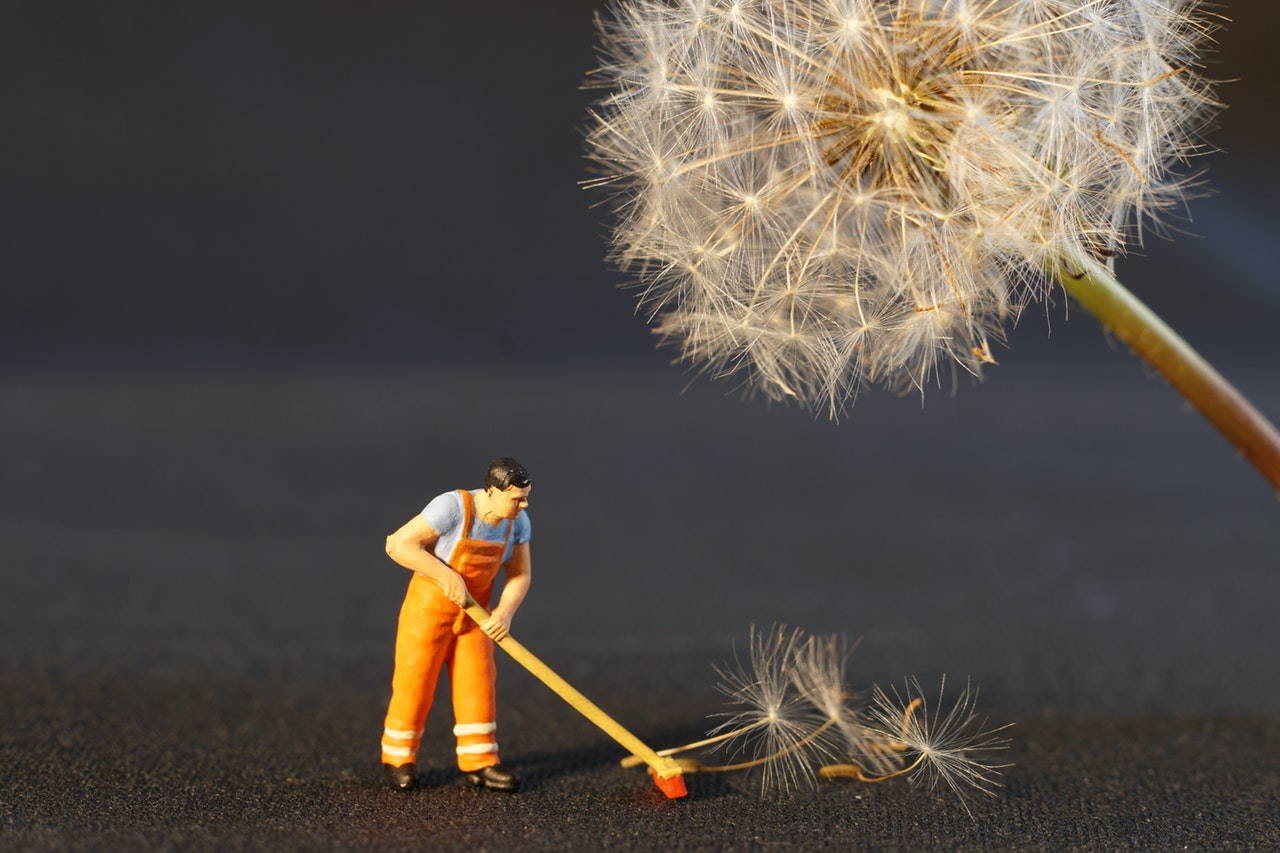 an image of a small, plastic character 'spring cleaning' by brushing up the seeds of a dandelion
